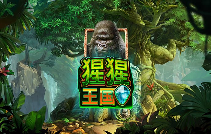 b体育官网首页